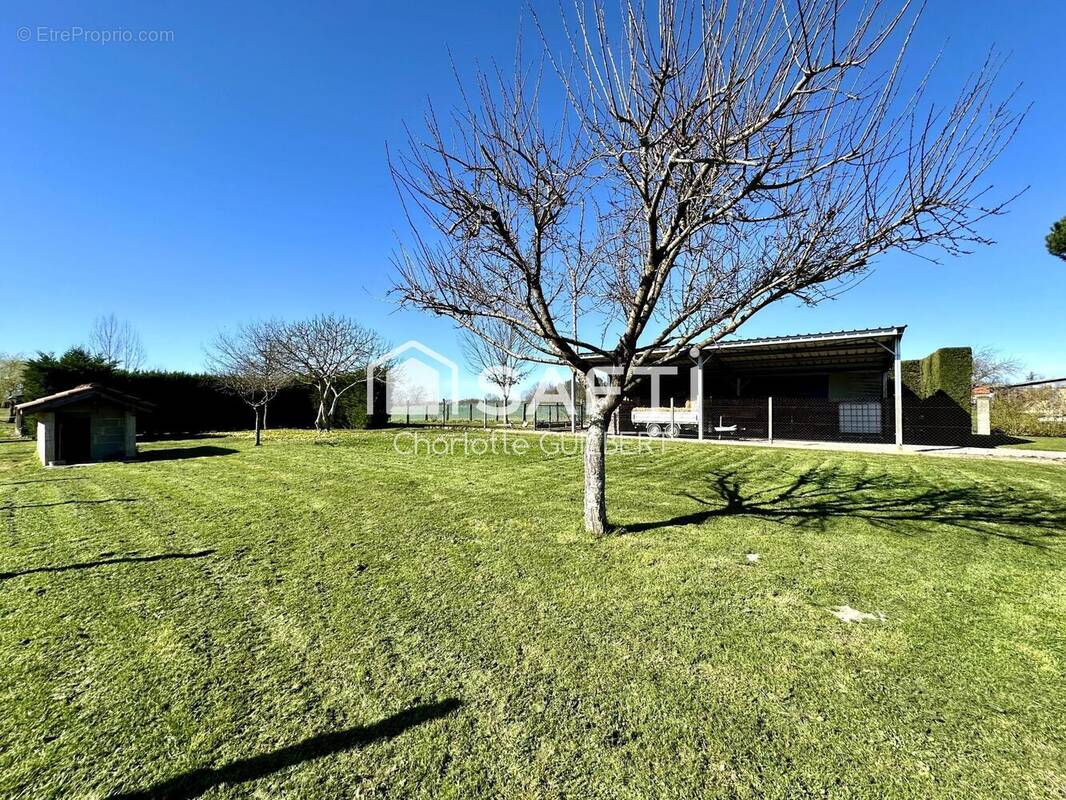 Photo 1 - Terrain à SAINTE-MARTHE