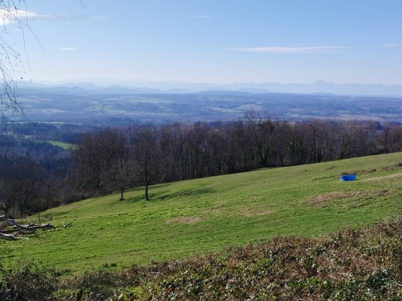 Terrain à ESCOUTOUX