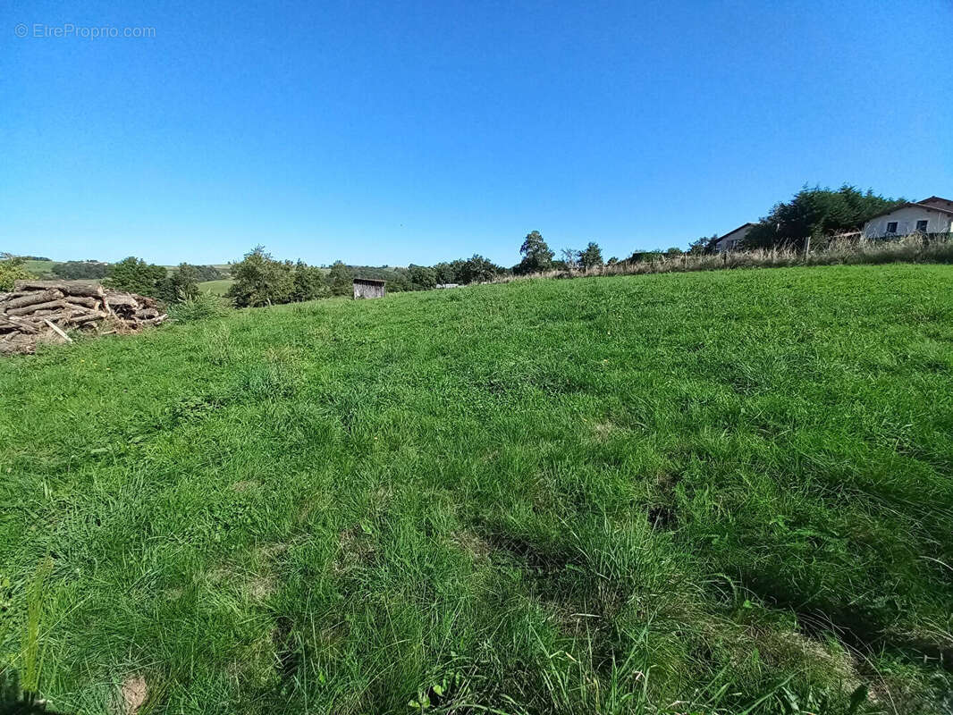 Terrain à VIRIGNEUX