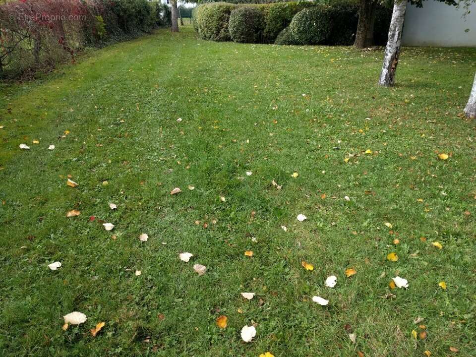 Terrain à MOISSY-CRAMAYEL