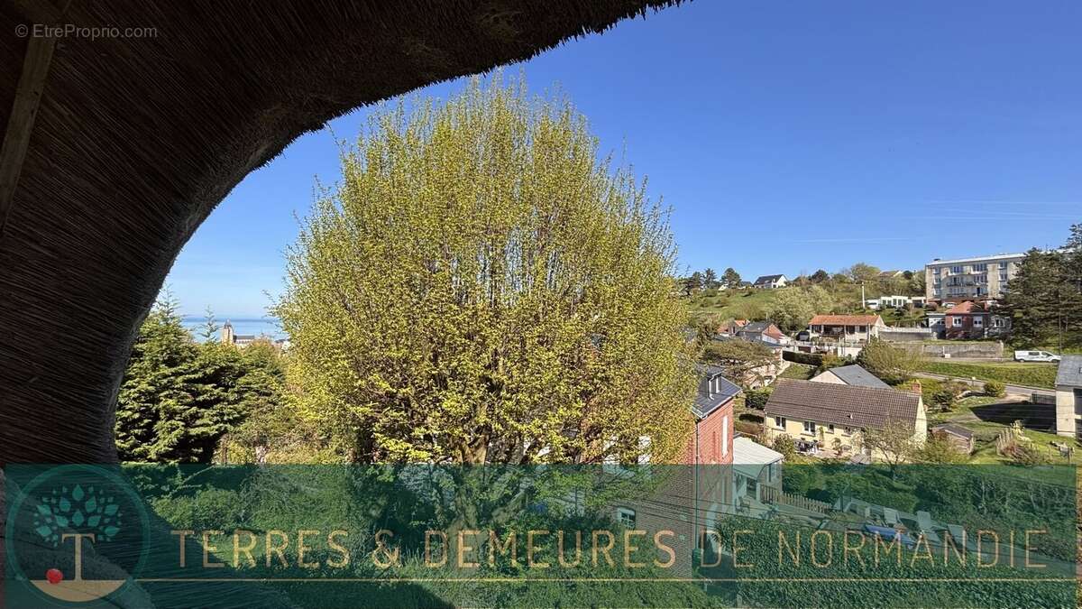 Maison à LE TREPORT