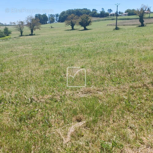 Terrain à SAINT-PROJET