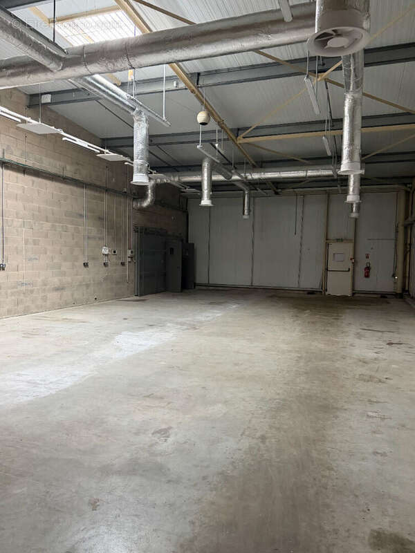 Local commercial A VENDRE 1690m² - Proche SAINT-JUNIEN - Terrain - photo 4