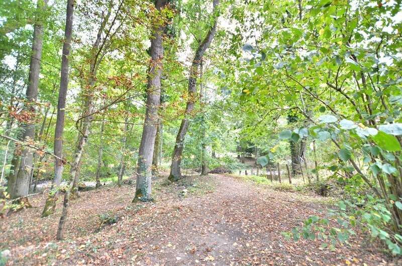 Maison à SAINT-GERMAIN-LAVAL