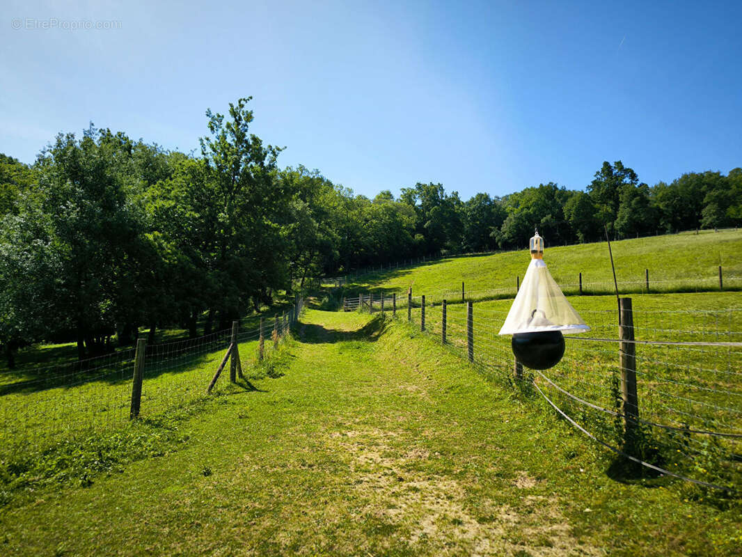 Ensemble immobilier de caractère dans un cadre bucolique - photo 14