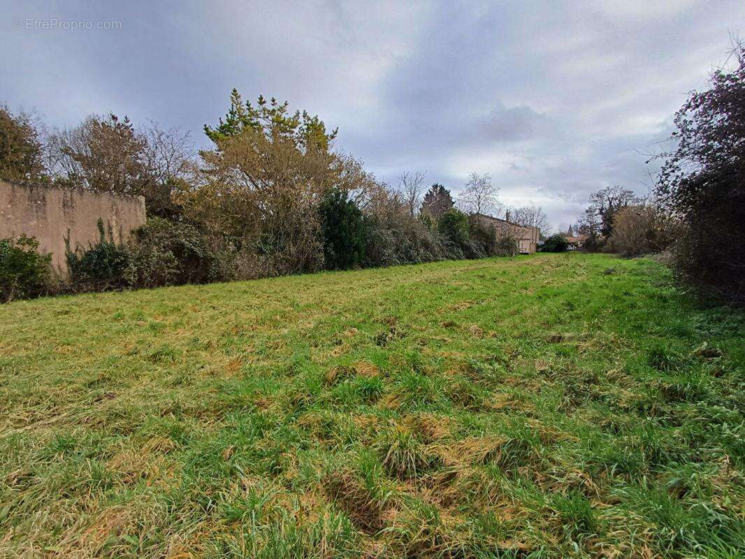 Terrain à LA ROCHENARD