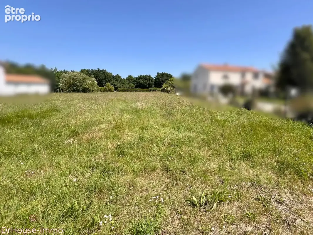 Terrain 2 040 m² à vendre à Pornic (44210) - photo 6