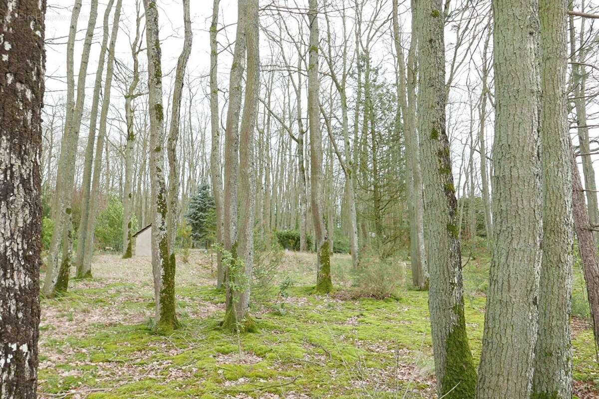 Terrain à MAINTENON