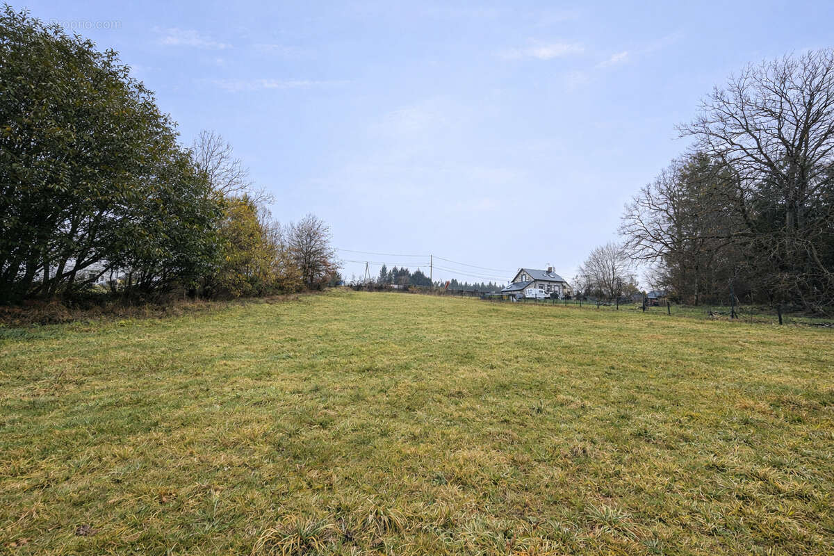 Terrain à MESTES