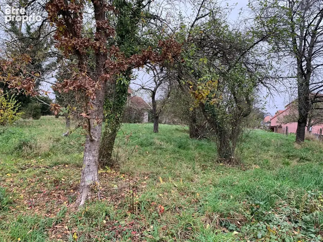 Terrain plat constructible 1 ou 2 maisons - photo 8