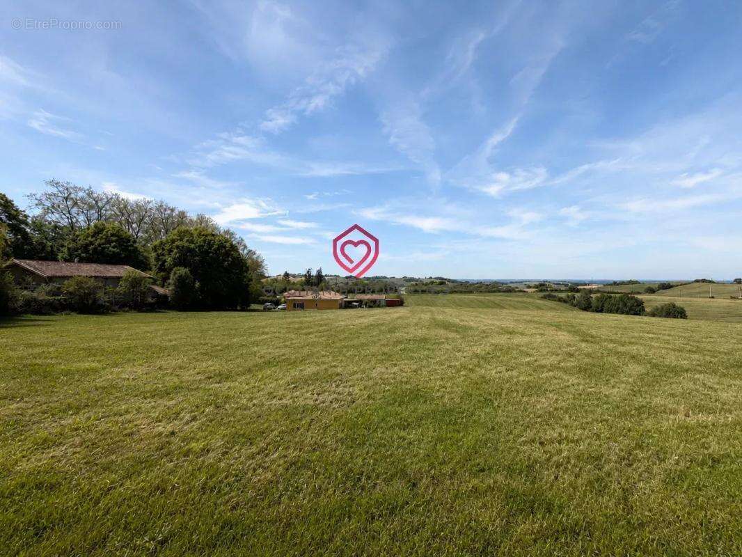 Terrain à LACAUGNE
