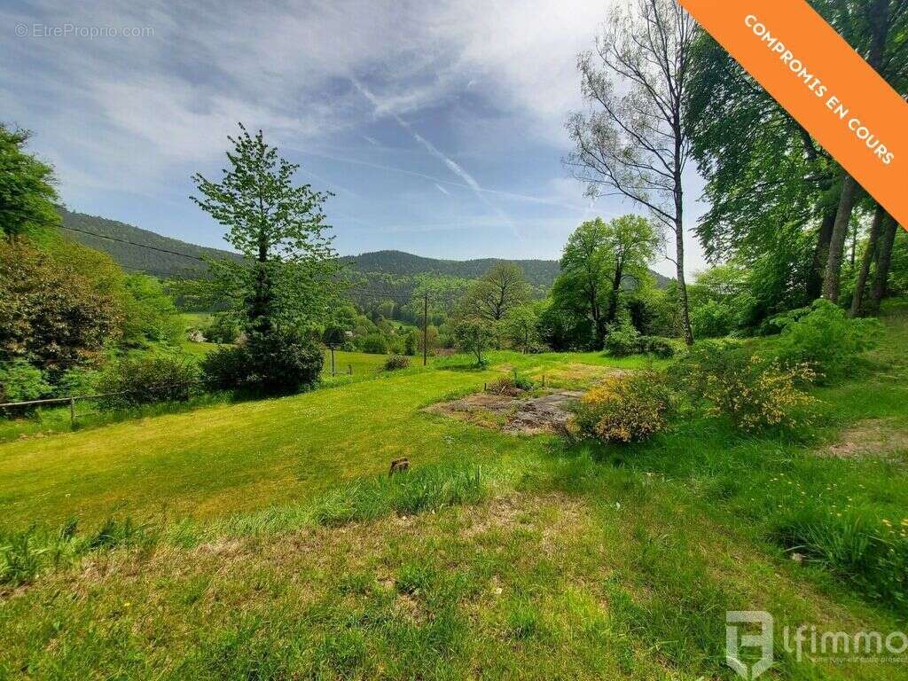 Terrain à WINDSTEIN