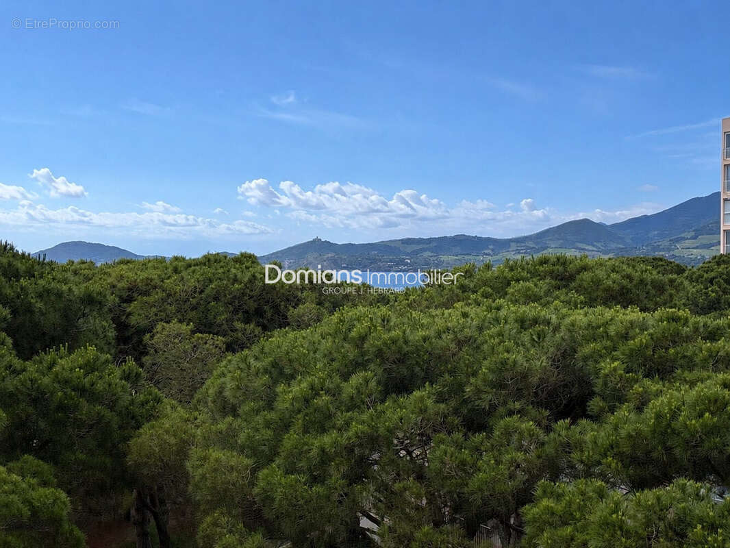 Appartement 23 m² à Argeles-Sur-Mer  - photo 7