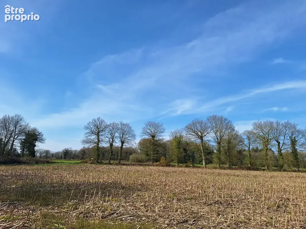 Terrain non constructible avec bâtisse en pierres en ruine, pour jardin ou espace de loisirs - photo 11