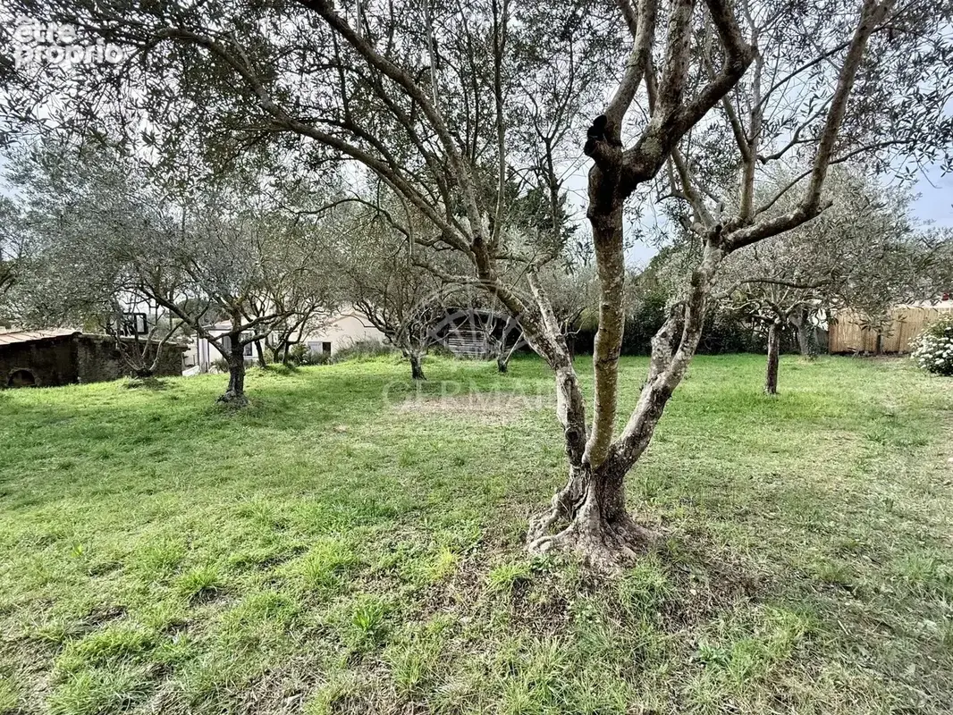 Exclusivité – L'Isle-sur-la-Sorgue, maison T3 avec garage et superbe terrain de 1 000 m² - photo 16