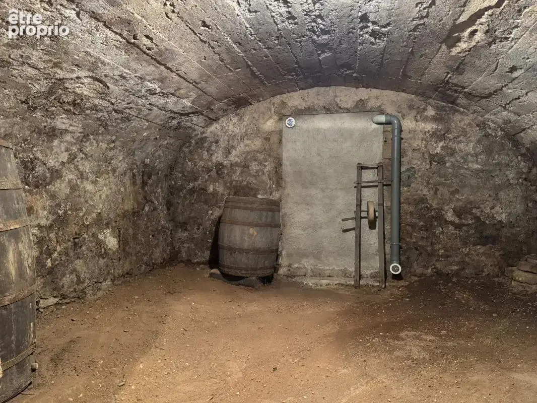 Maison de caractère du XIXe siècle (1850) sur une parcelle de 466 m²  BLAINVILLE SUR L'EAU (54) - photo 19