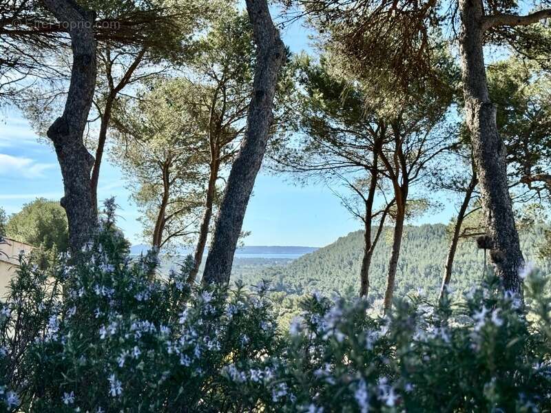 Maison à CORNILLON-CONFOUX