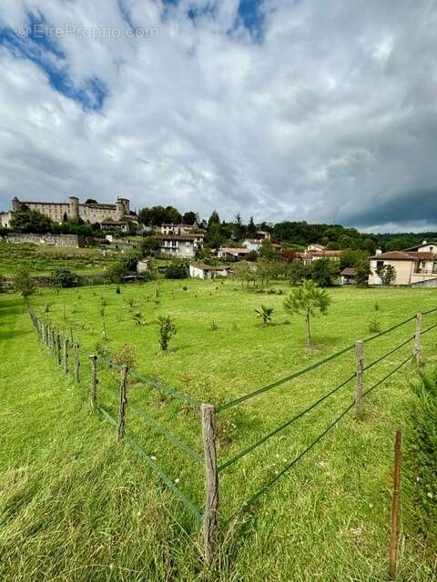 Terrain viabilise saint-lizier - photo 3