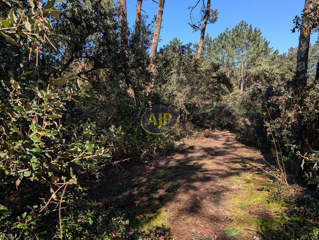Terrain à LE VERDON-SUR-MER