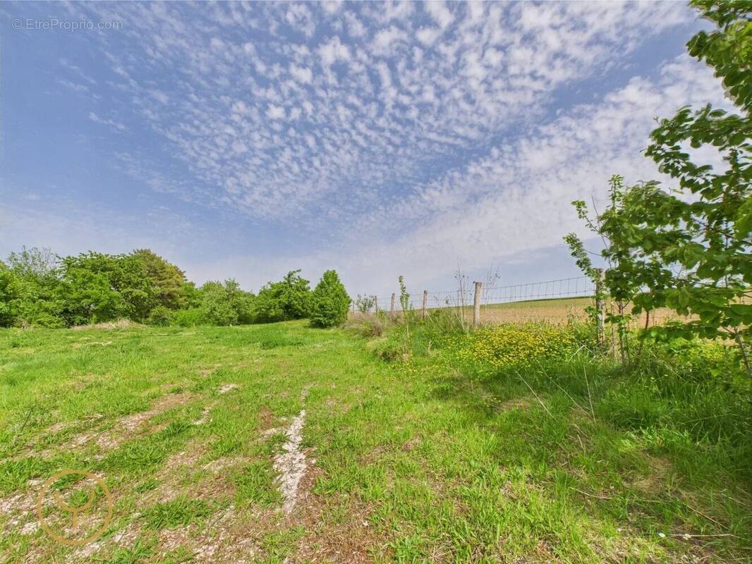 Terrain à SOLIGNY-LES-ETANGS