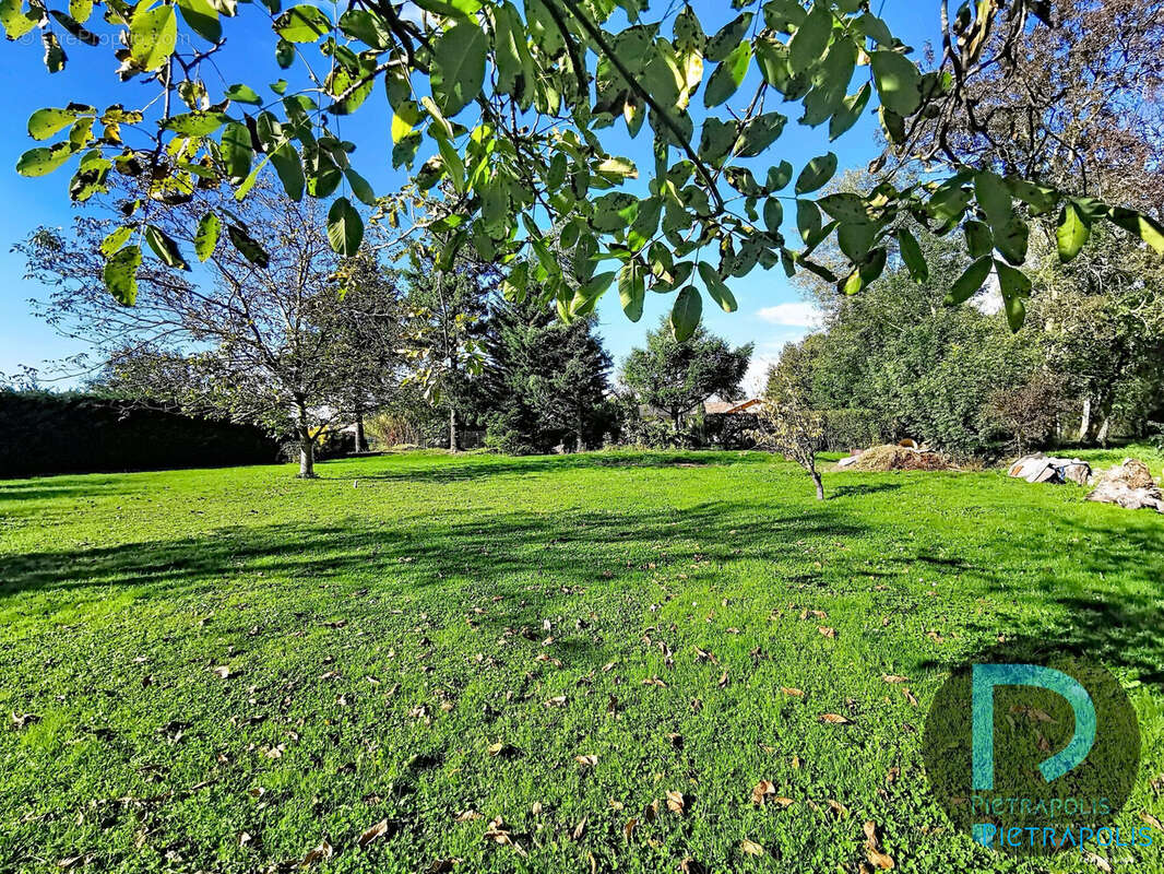 Terrain à SAINT-CYR-SUR-MENTHON