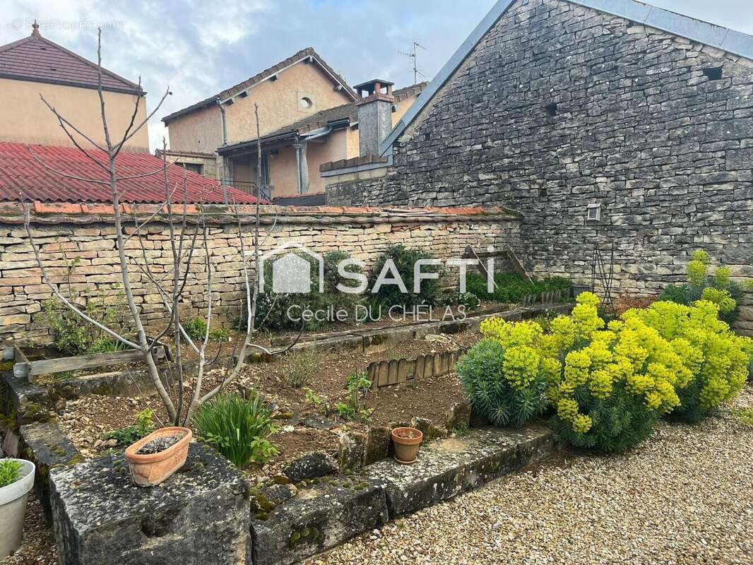 Photo 6 - Maison à LADOIX-SERRIGNY