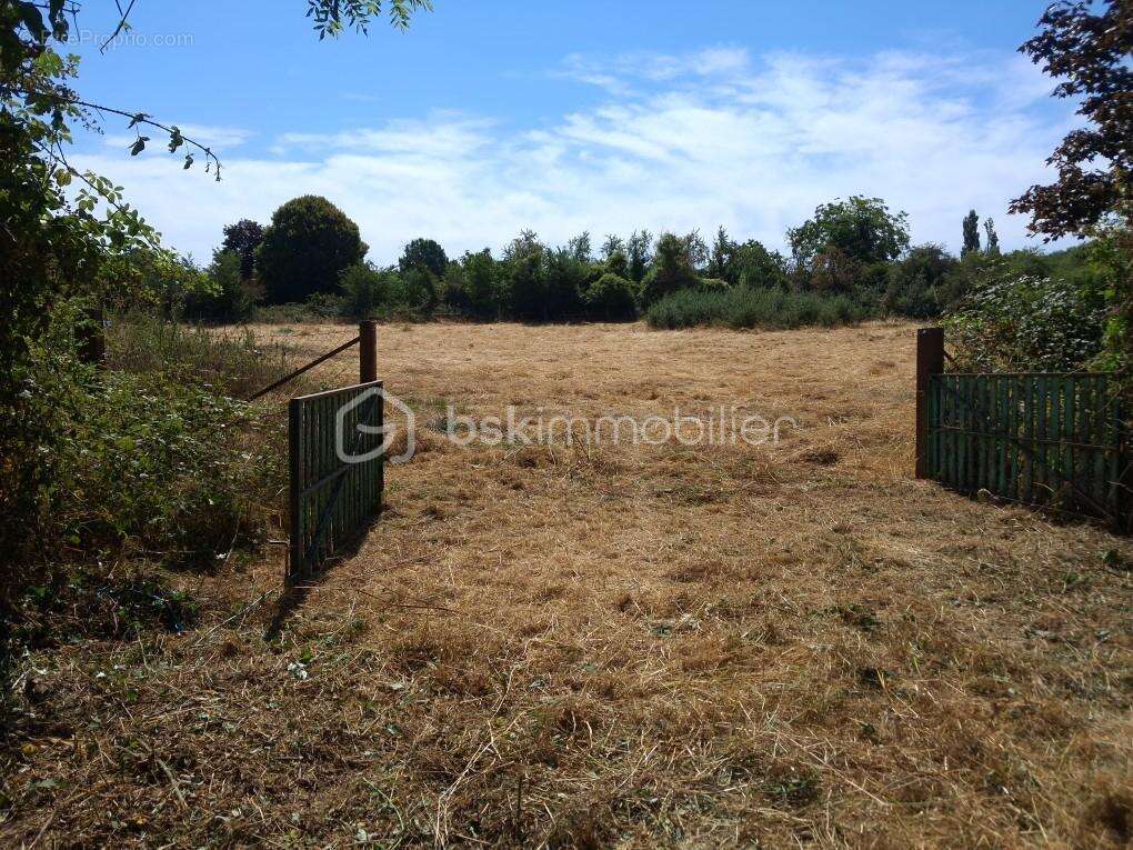 Terrain 5928 m² à Thorigne  - photo 2