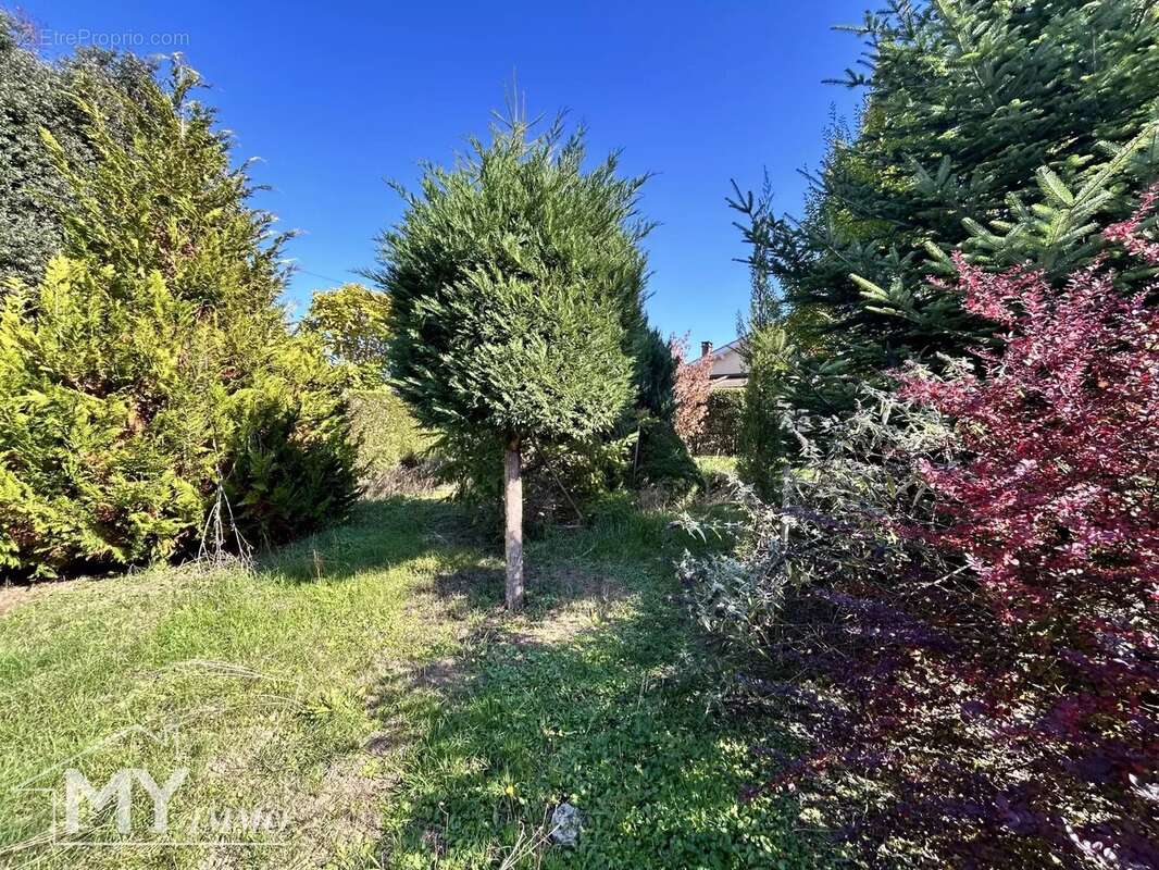 Maison à SAINT-AVIT-SAINT-NAZAIRE