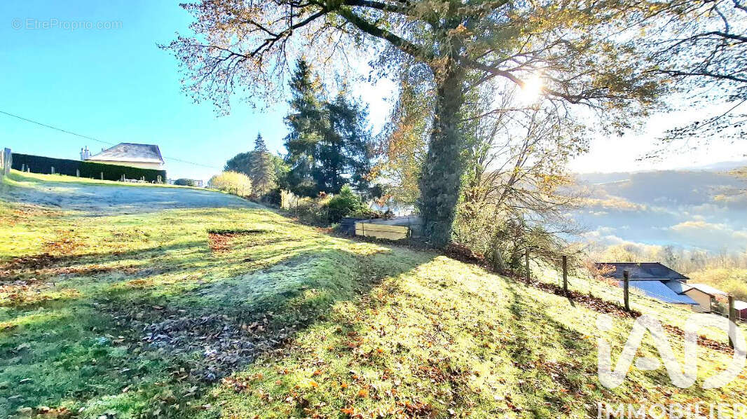 Photo 4 - Terrain à TULLE