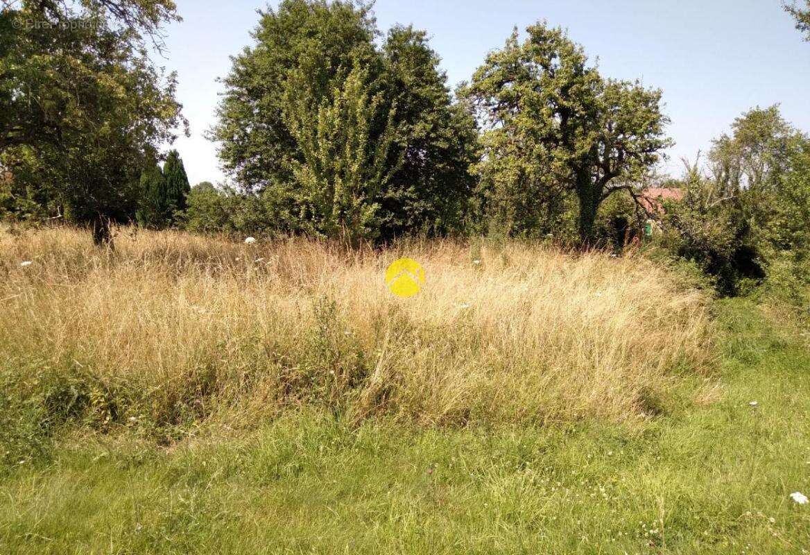 Maison à MONTCHEVRIER