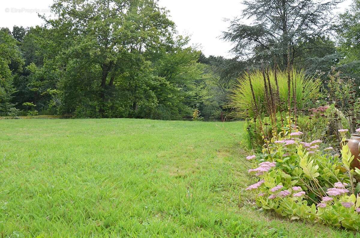 Maison à SAINT-FORGET