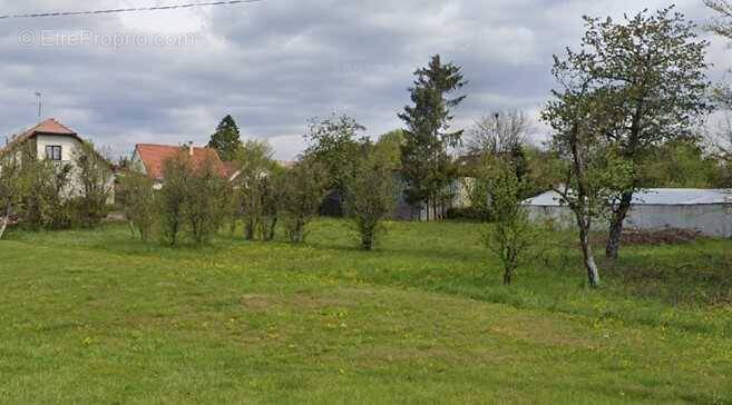 Terrain à EGUENIGUE