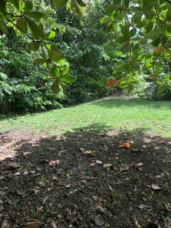 Terrain à LES TROIS-ILETS