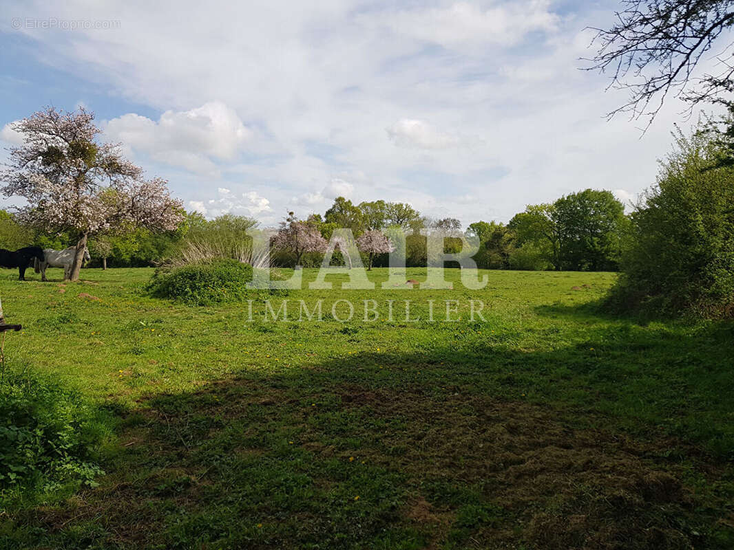 Maison à LE MENIL-GUYON