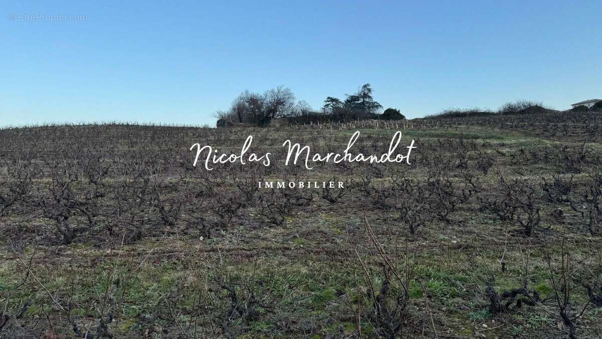 Photo 8 - Commerce à LANTIGNIE