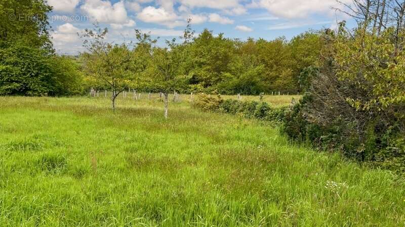 Terrain à YVRE-L'EVEQUE