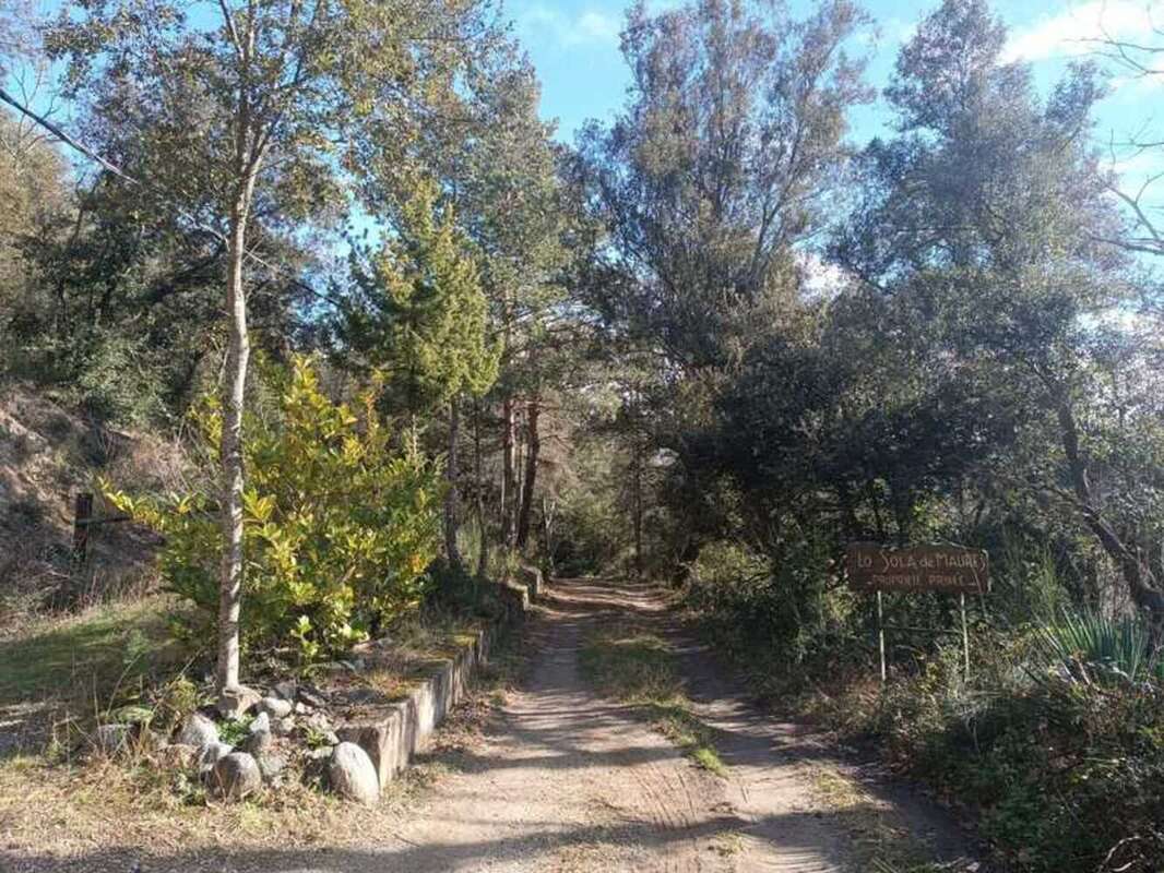 A vendre, Maison en pleine nature à fort potentiel !  (66) - photo 7