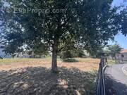 Terrain à VIELLE-SAINT-GIRONS