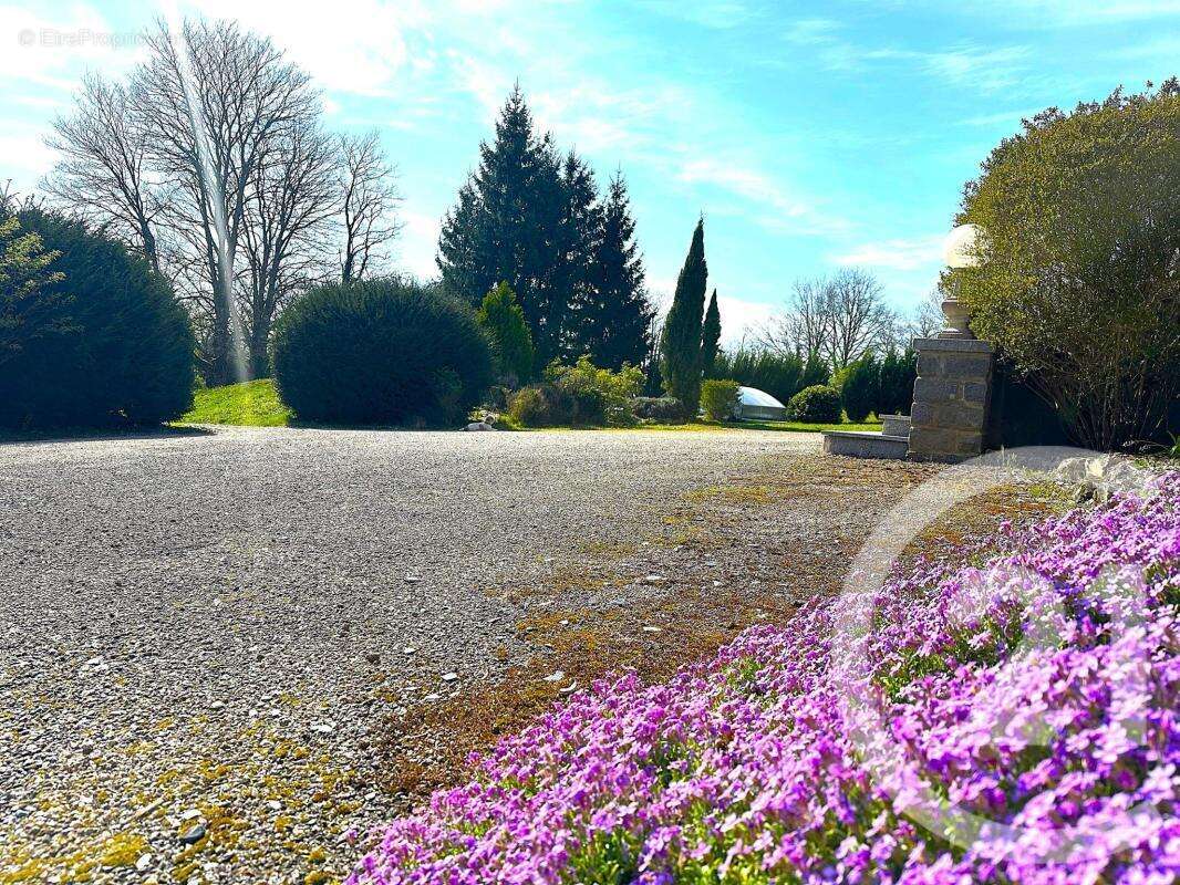 Propriété - photo 6
