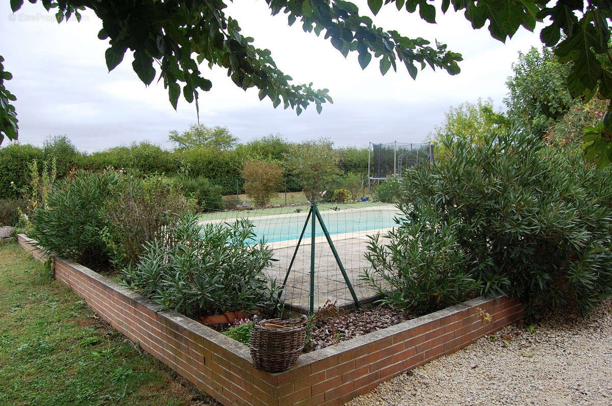 Mas en pierre 250 m2 sur 2000 m2 de terrain - photo 2