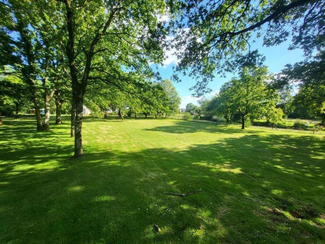 Photo 2 - Terrain à SAINT-VINCENT-SUR-OUST