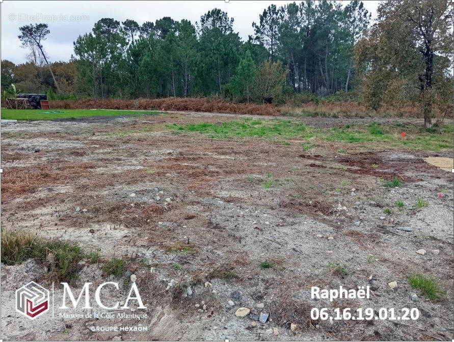 Terrain à PARENTIS-EN-BORN