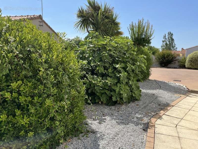 Maison à vendre 7 pièces MACHECOUL (44) - photo 6