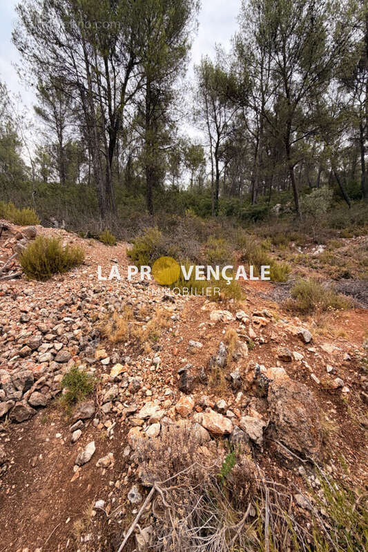 Terrain 30000 m² à Auriol  - photo 4