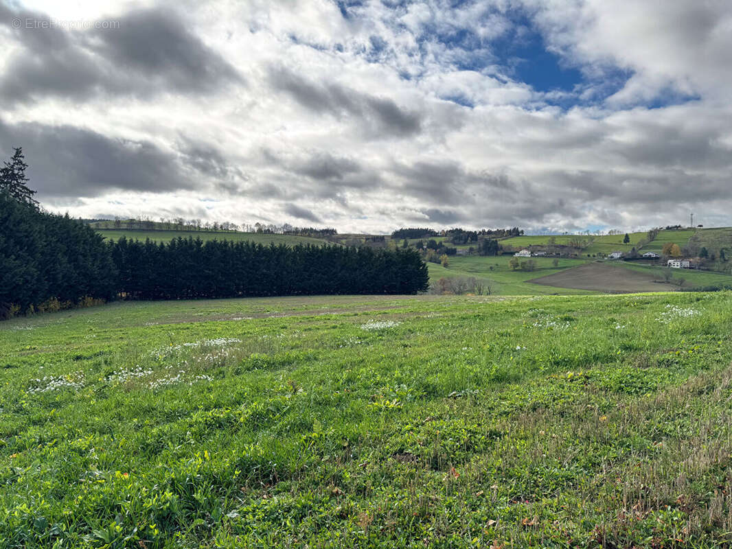Maison à YSSINGEAUX