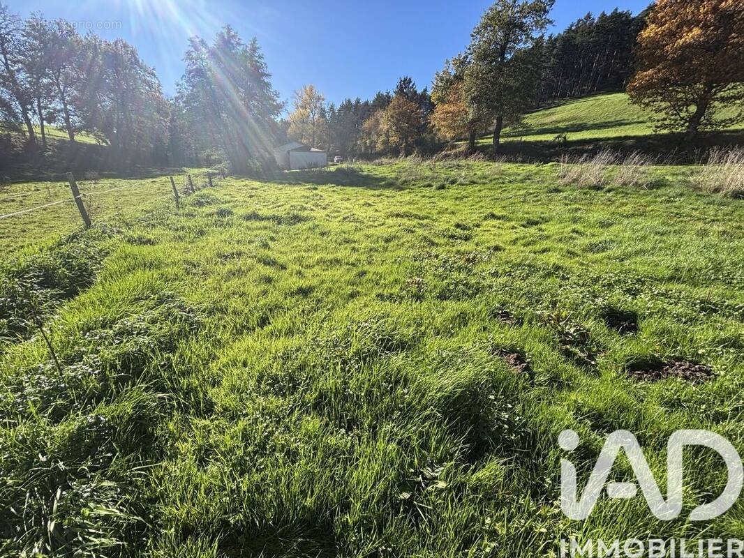 Photo 1 - Terrain à RETOURNAC