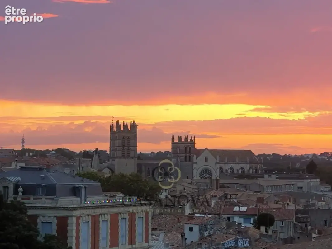 Commerce à MONTPELLIER