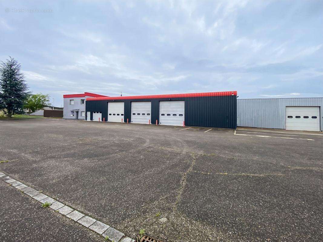Appartement à WITTENHEIM