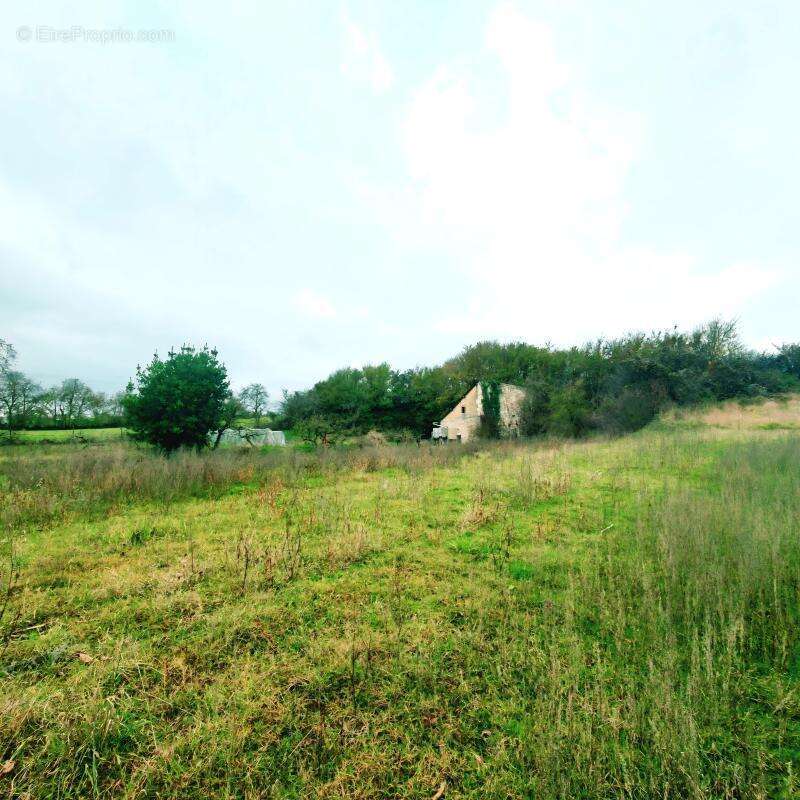 Terrain à SAINT-CHRISTOPHE-SUR-LE-NAIS