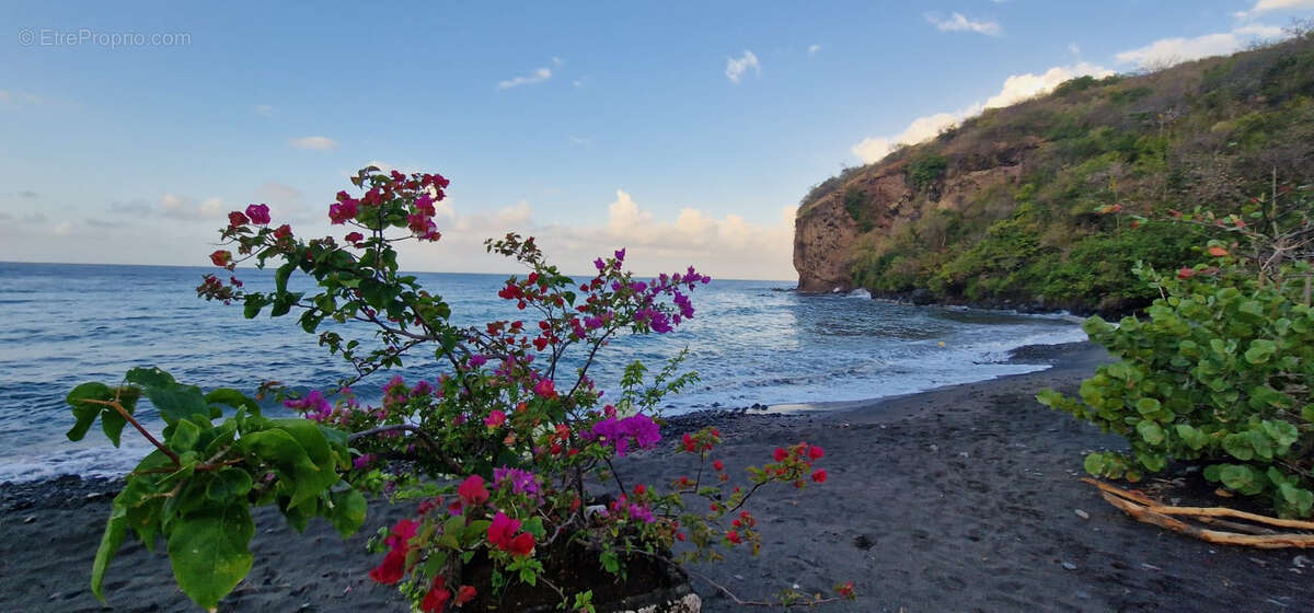 Appartement à CASE-PILOTE